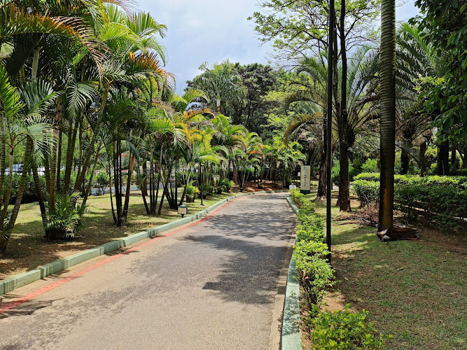 Municipal park Eng Salvador Arena