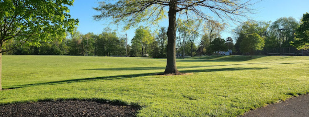 Munro Community Park Travel Forum Reviews