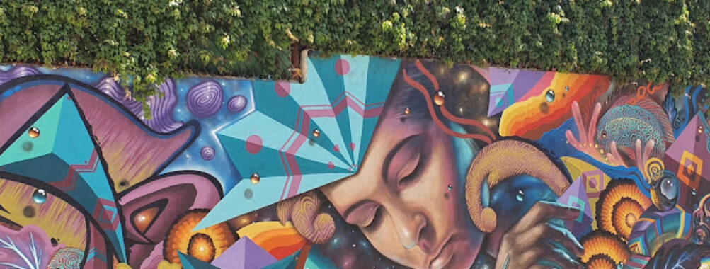 Murales Guadalupe Travel Forum Reviews