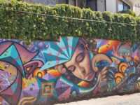 Murales Guadalupe Travel Forum Reviews