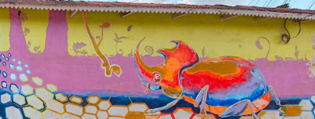 Murales Moyobambinos Travel Forum Reviews