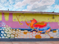 Murales Moyobambinos Travel Forum Reviews