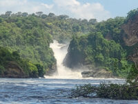 Murchison Falls National Park Travel Forum Reviews