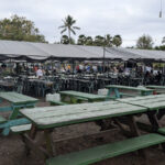Muri Night Markets
