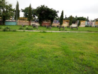 Murtala Park Travel Forum Reviews