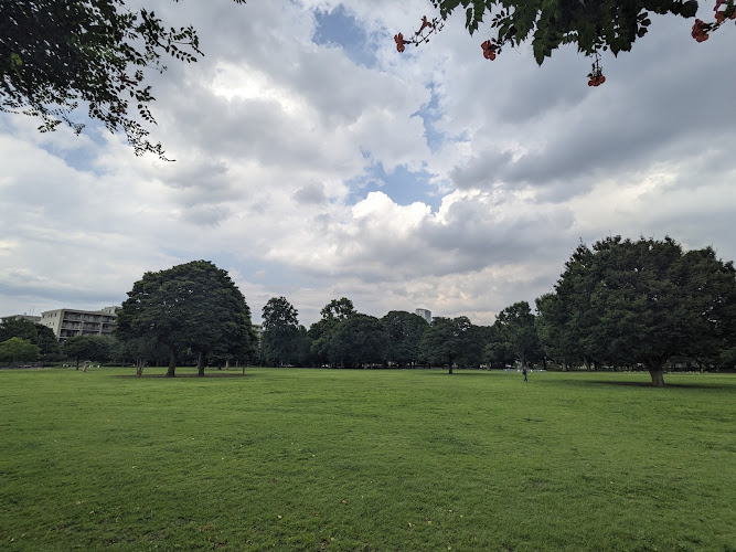 Musashi Kokubunji Park