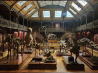 Musée Cinéma et Miniature Travel Forum Reviews