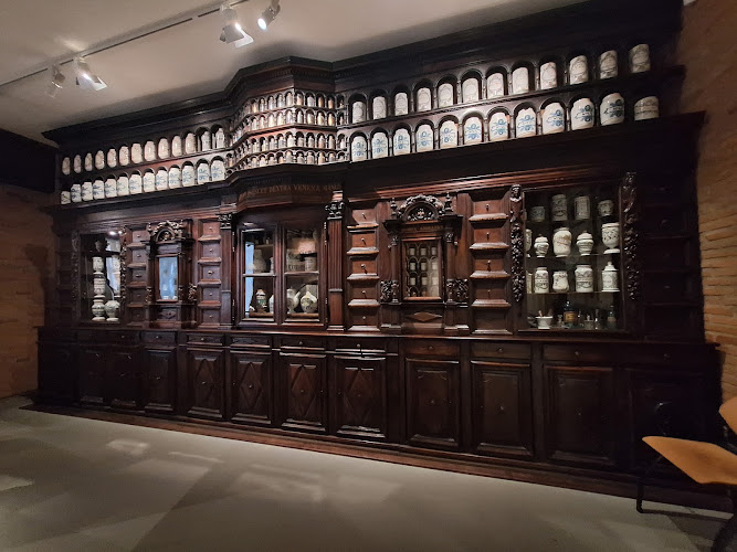 Musée Paul-Dupuy