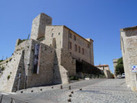 Musée Picasso Travel Forum Reviews