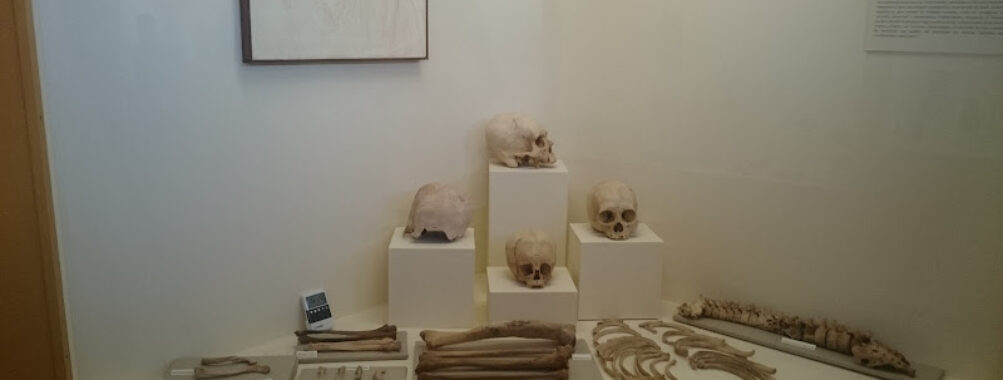 Museo Contisuyo Travel Forum Reviews