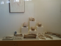 Museo Contisuyo Travel Forum Reviews