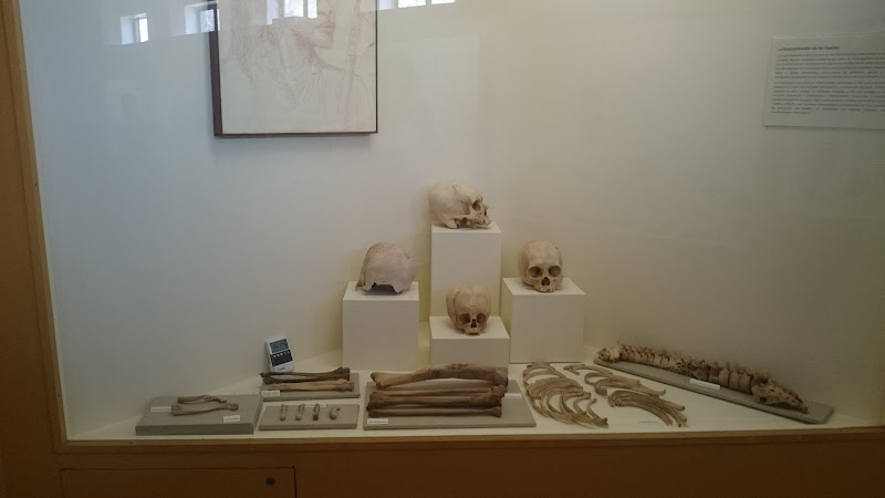 Museo Contisuyo