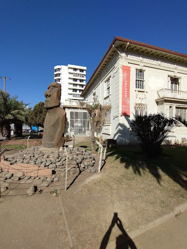 Museo Fonck Park
