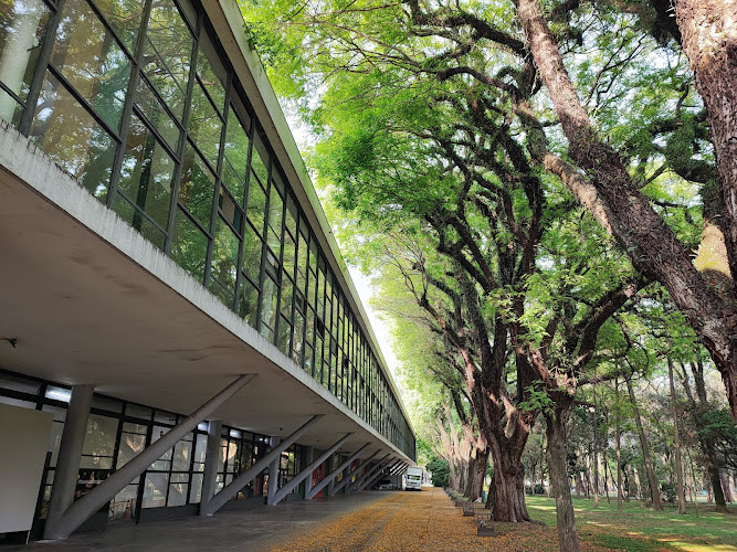 Museu Afro Brasil