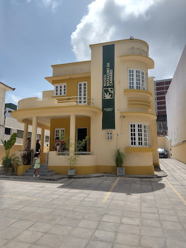 Museu Brasileiro da Cannabis