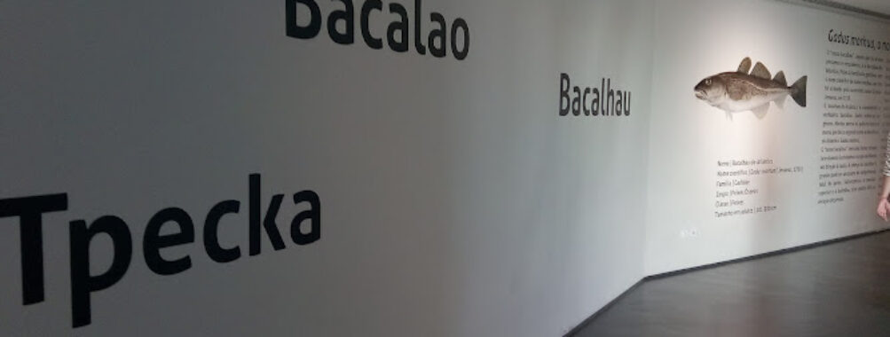 Museu Marítimo de Ílhavo e Aquário dos Bacalhaus Travel Forum Reviews