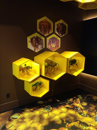 Museum Institute Biologico