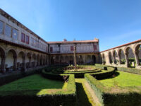 Museum Martins Sarmento Travel Forum Reviews