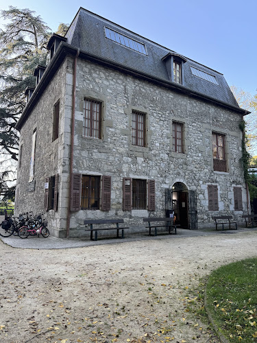 Museum d