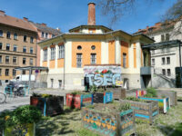 Museum der Wahrnehmung Travel Forum Reviews