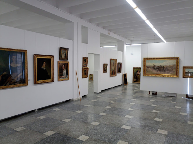 Museum of Art Bacau