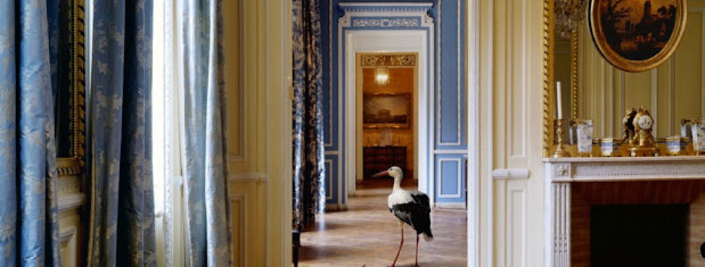 Museum of Contemporary Photography Travel Forum Reviews
