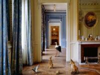 Museum of Contemporary Photography Travel Forum Reviews