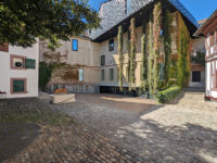 Museum of Cultures Basel Travel Forum Reviews