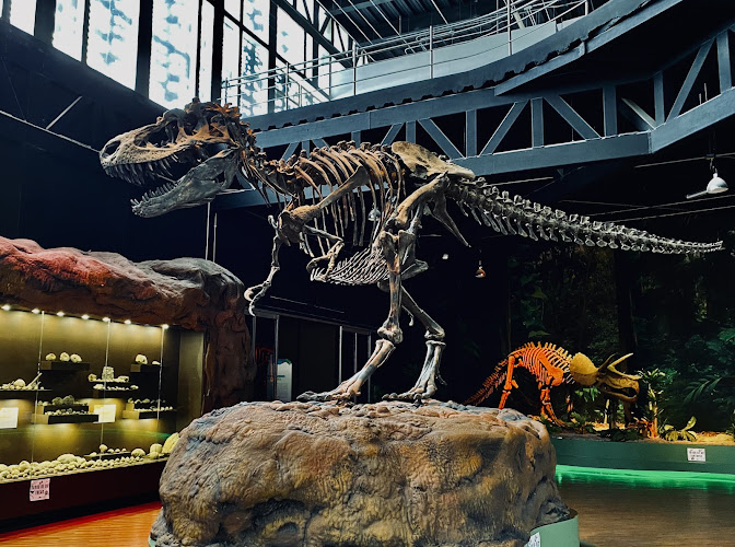 Museum of Evolution Tehuacán