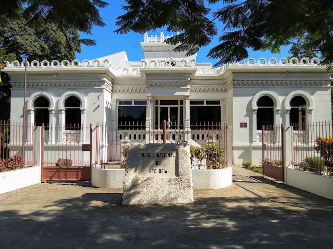 Museum of Geology