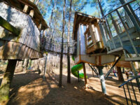Museum of Life and Science Travel Forum Reviews