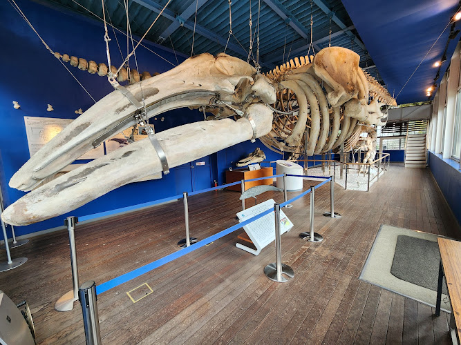 Museum of Marine Science, Tokyo University of Marine Science and Technology