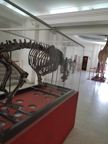 Museum of Natural Sciences