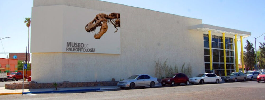 Museum of Paleontology Delicias Travel Forum Reviews