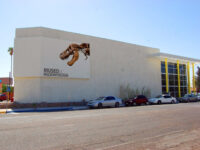 Museum of Paleontology Delicias Travel Forum Reviews