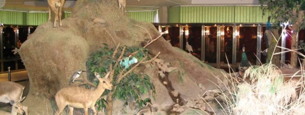 Museum of Science and Nature Of Ahvaz Travel Forum Reviews