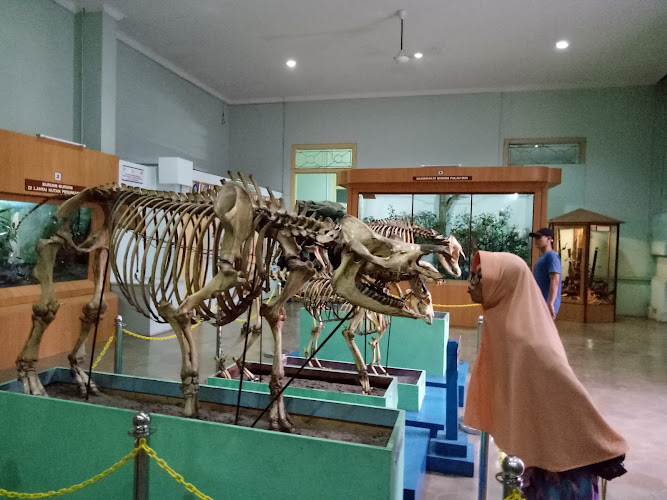 Museum of Zoology (Museum Zoologicum Bogoriense)