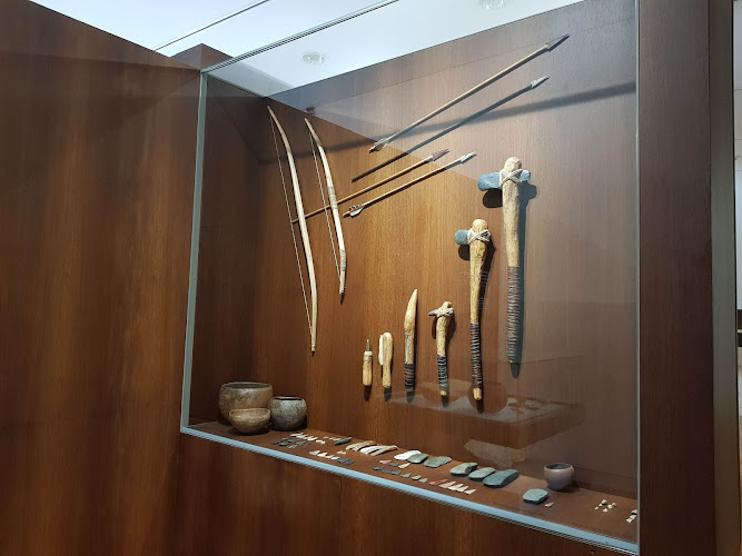 Museum of archeology D. Diogo de Sousa