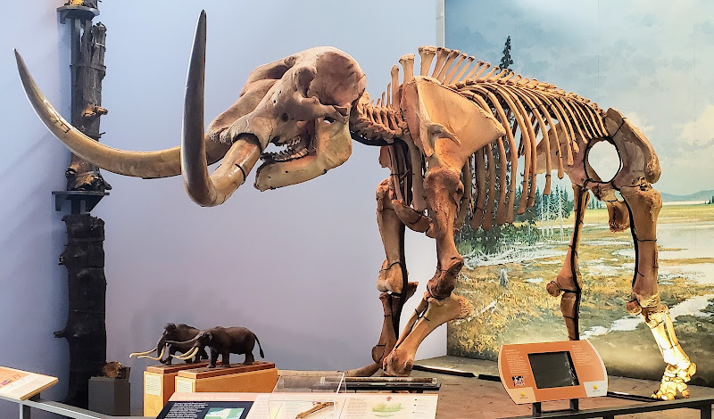 Museum of the Earth