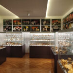 Mushroom Museum