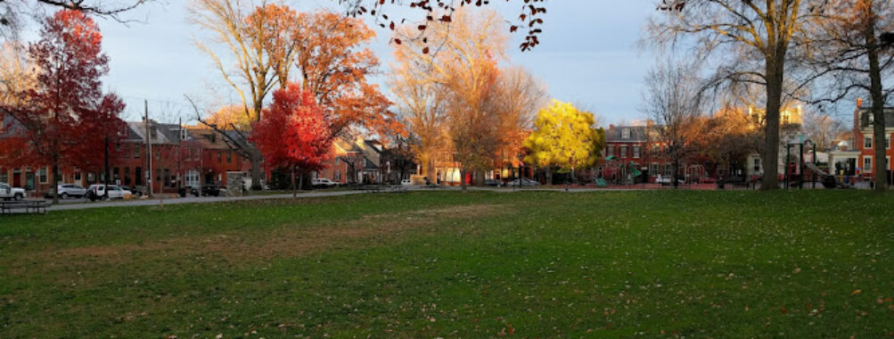 Musser Park Travel Forum Reviews