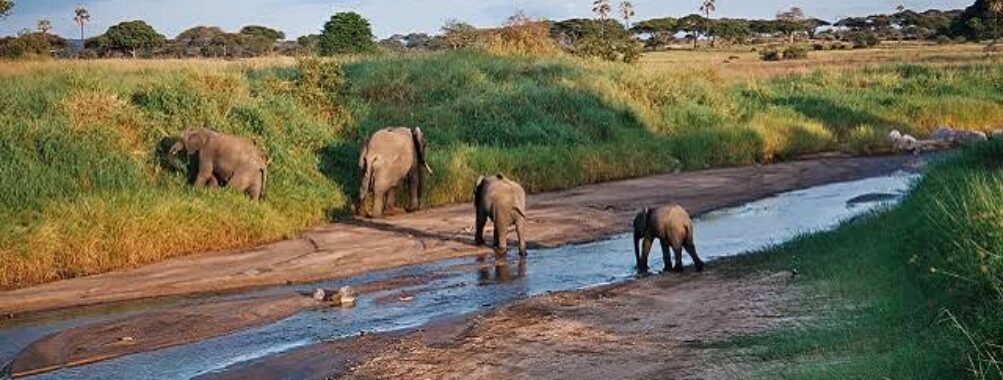 Mwea National Reserve Travel Forum Reviews