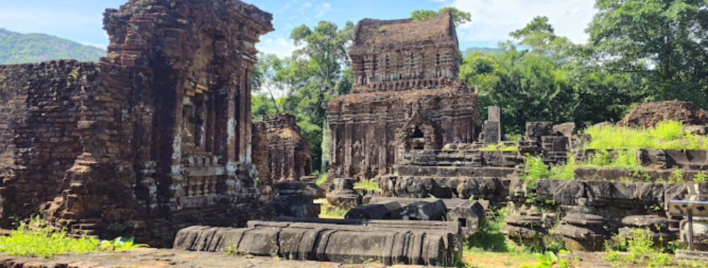 My Son Travel Forum Reviews
