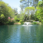 Mynelle Gardens Arboretum & Botanical Center