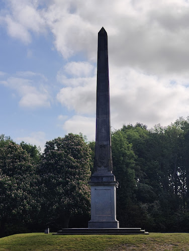 Naald van Rijswijk