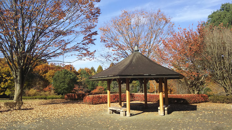 Nagaoka Park