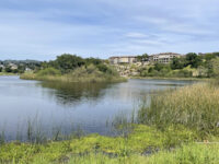 Nagasawa Park Travel Forum Reviews