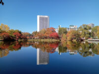 Nakajima Park Travel Forum Reviews