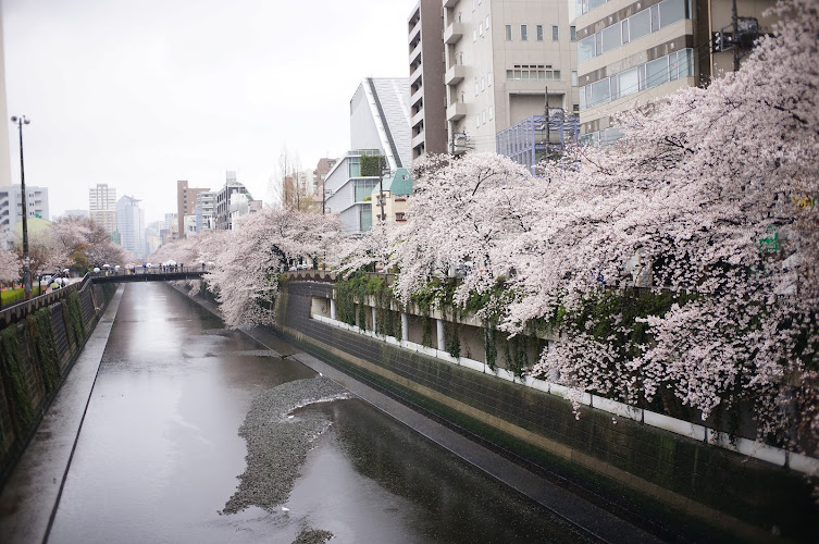 Nakame Park Bridge