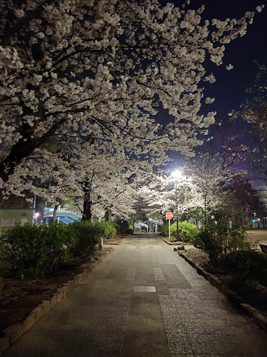 Nakano City Araiyakushi Park